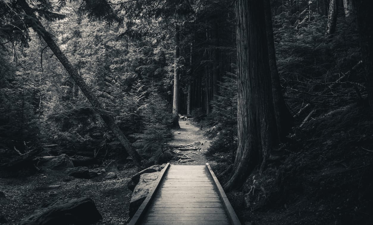 Old-Growth Gothic