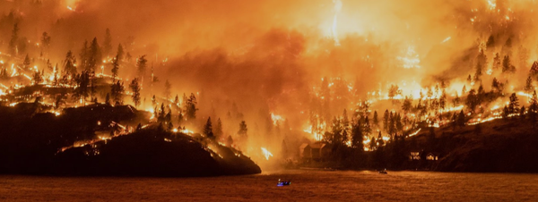Fire Season: Collective Sense-making on the Topic of Wildfire in British Columbia